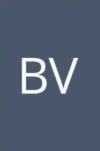 Bernat Villaplana