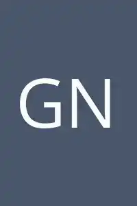 Gil Netter