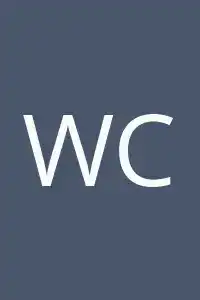 Wang Chao
