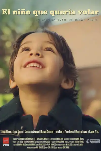 Poster for The Boy Who Wanted to Fly