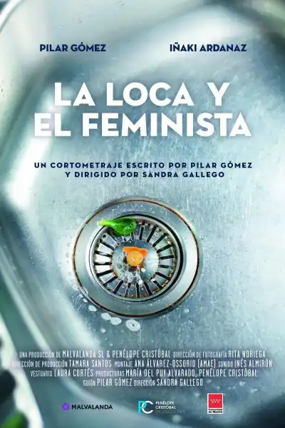 Poster for The madwoman and the feminist