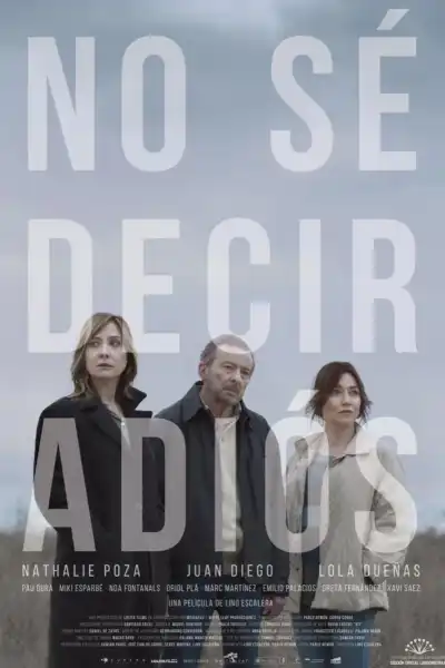 Poster for Can't Say Goodbye