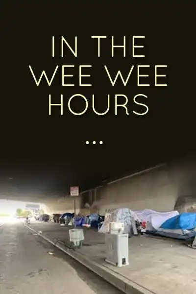 Poster for In the Wee Wee Hours...
