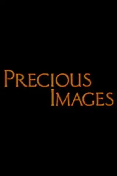 Poster for Precious Images