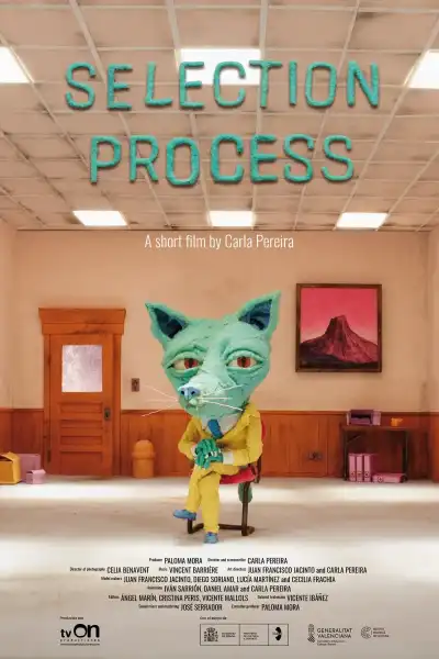 Poster for Selection Process