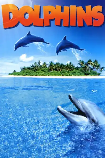 Poster for Dolphins