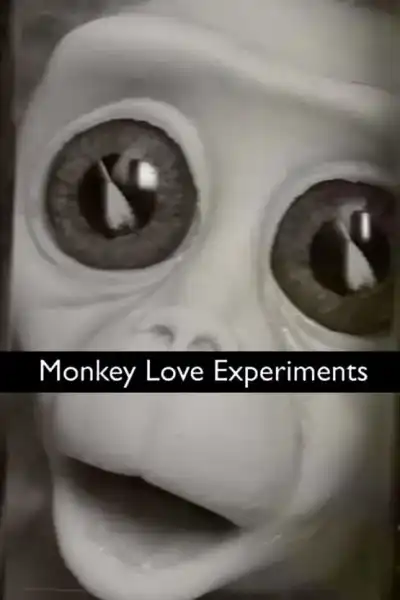 Poster for Monkey Love Experiments