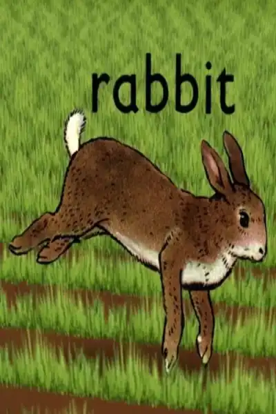 Poster for Rabbit