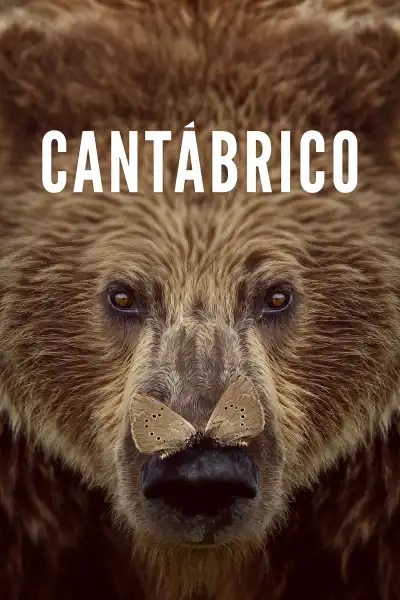 Poster for Cantábrico
